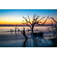 thumbnail image 2 of Looney, Hollice 18x13 Black Ornate Wood Framed with Double Matting Museum Art Print Titled - USA-Georgia-Jekyll Island-Sunrise on Driftwood Beach of petrified trees, 2 of 4