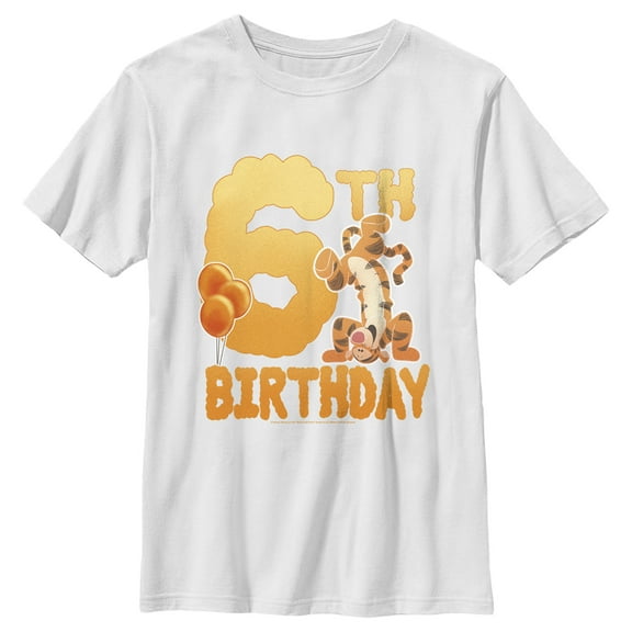 Boy's Winnie the Pooh Tigger 6th Birthday  Graphic Tee White X Small