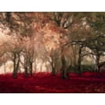 thumbnail image 2 of Greene, Taylor 24x20 White Modern Wood Framed Museum Art Print Titled - Crimson Forest Floor A2, 2 of 4