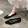 thumbnail image 1 of 2023 Primavera y otoño Zapato bajo único Tacones altos para mujer Zapatos de tacón pequeño profesionales Zapatos de trabajo formales en punta Zapatos de mujer 37 Gao Jinjia LED, 1 of 2