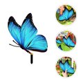 thumbnail image 3 of Simulation Butterfly Stake Park Butterfly Decoration Acrylic Butterfly Sign Garden Decor, 3 of 9