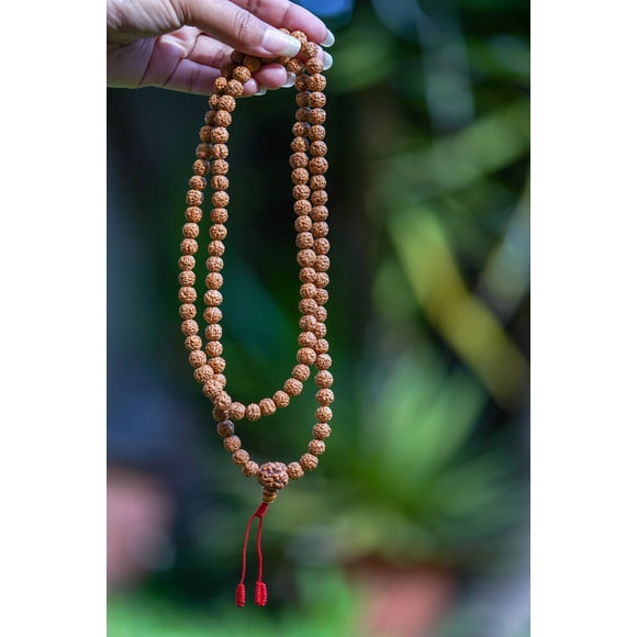 100% Genuine Rudraksha Mala | 108 Japa Mala made with Natural Rudraksha Seed - Shiva Seed for Hindu