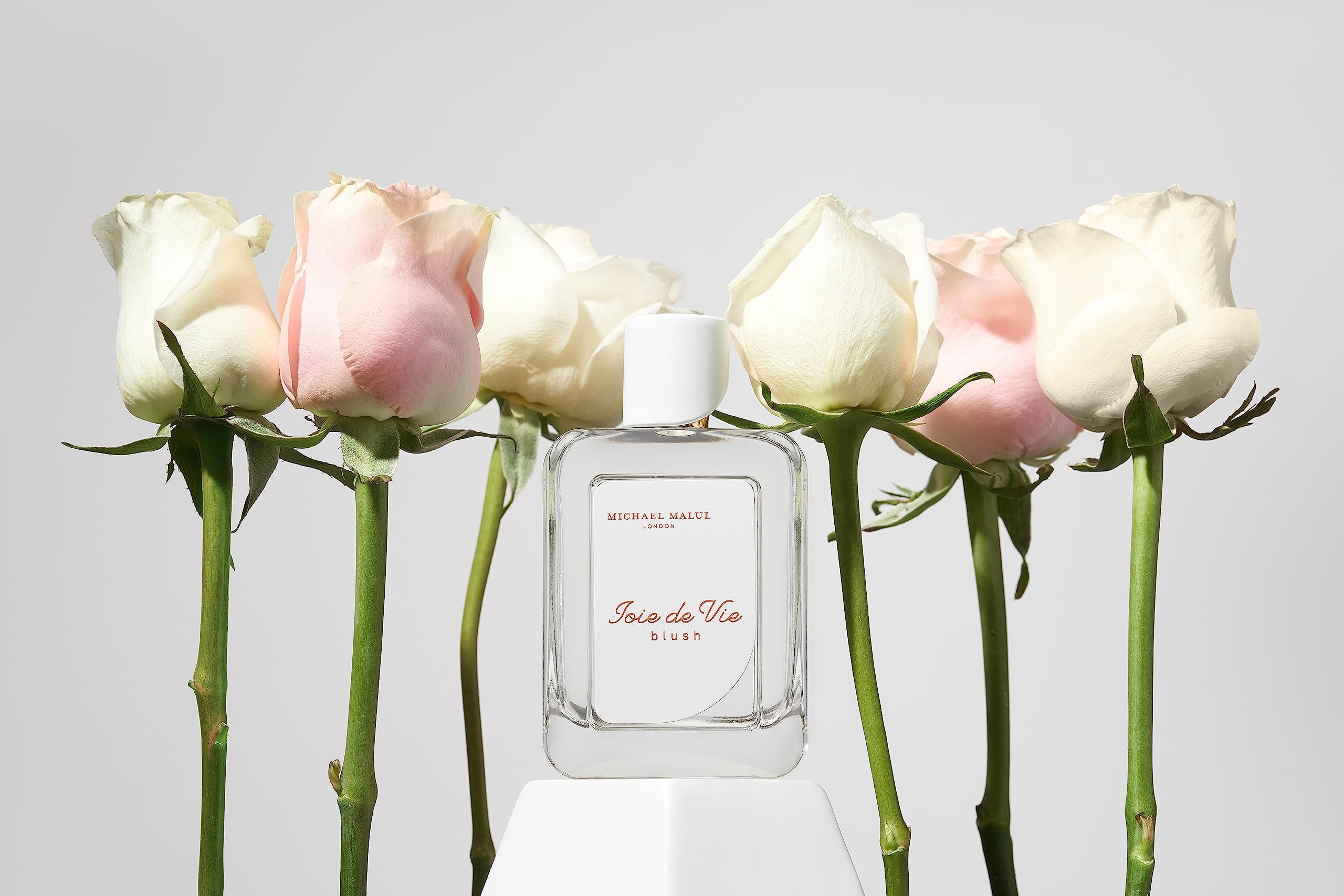 Joie De Vie Blush by Michael Malul Eau De Parfum Spray 3.4 oz