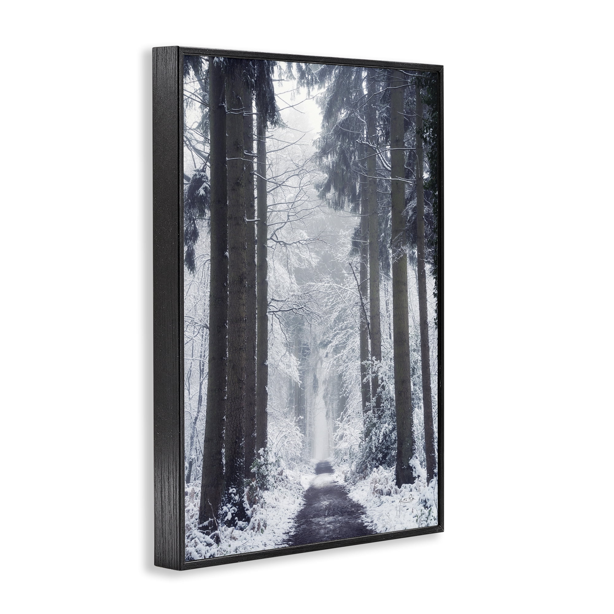 Stupell Industries Winter Fir Path Landscape Photography Black Framed Art Print Wall Art, 20 x 30