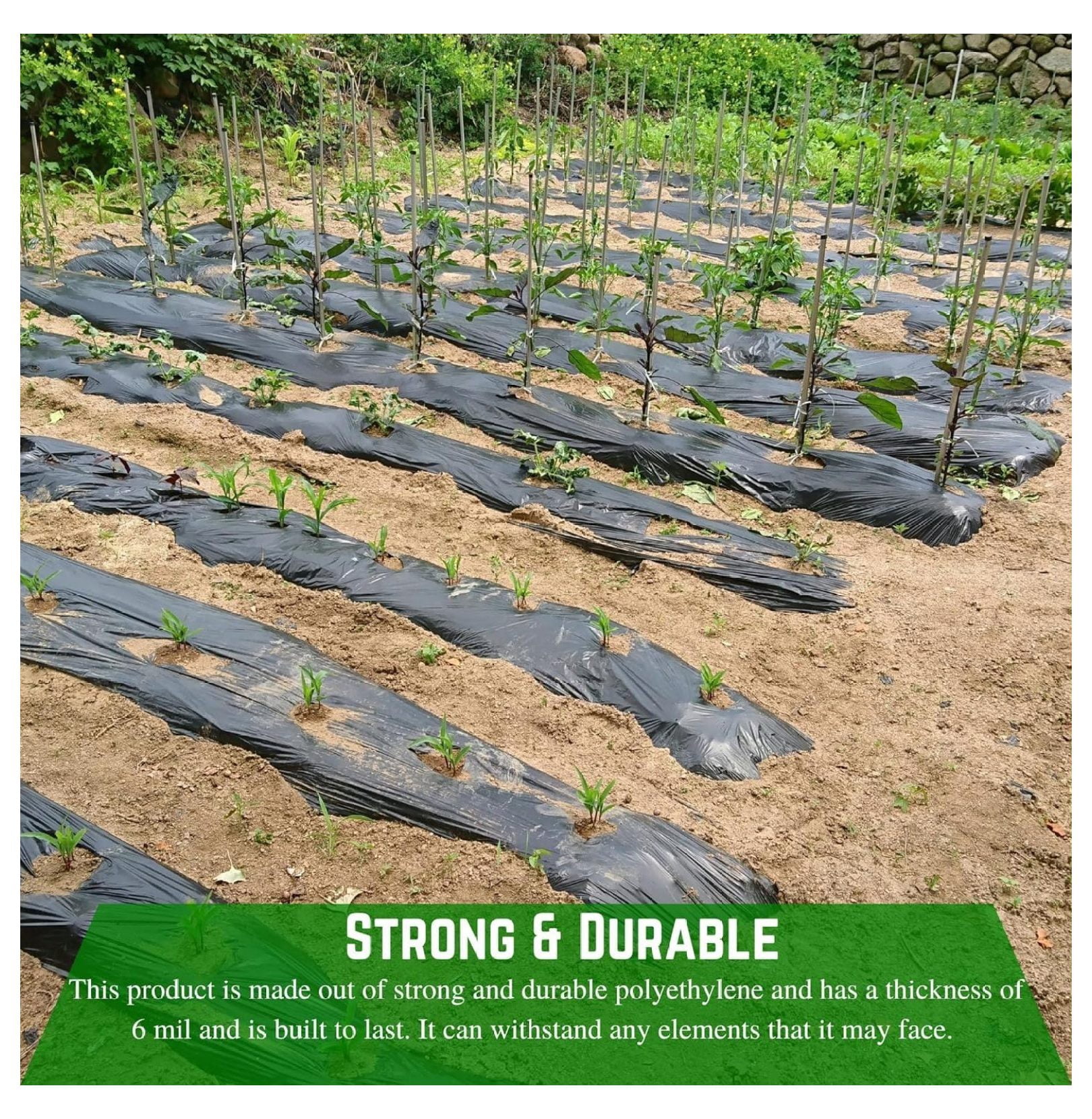 - Weed Control 4 Mil Black Plastic Sheeting - Heavy Duty Weed Barrier Landscape Fabric for Outdoor Gardens, Non Woven Weed Blocker Fabric, Weed Control (3' x 100')