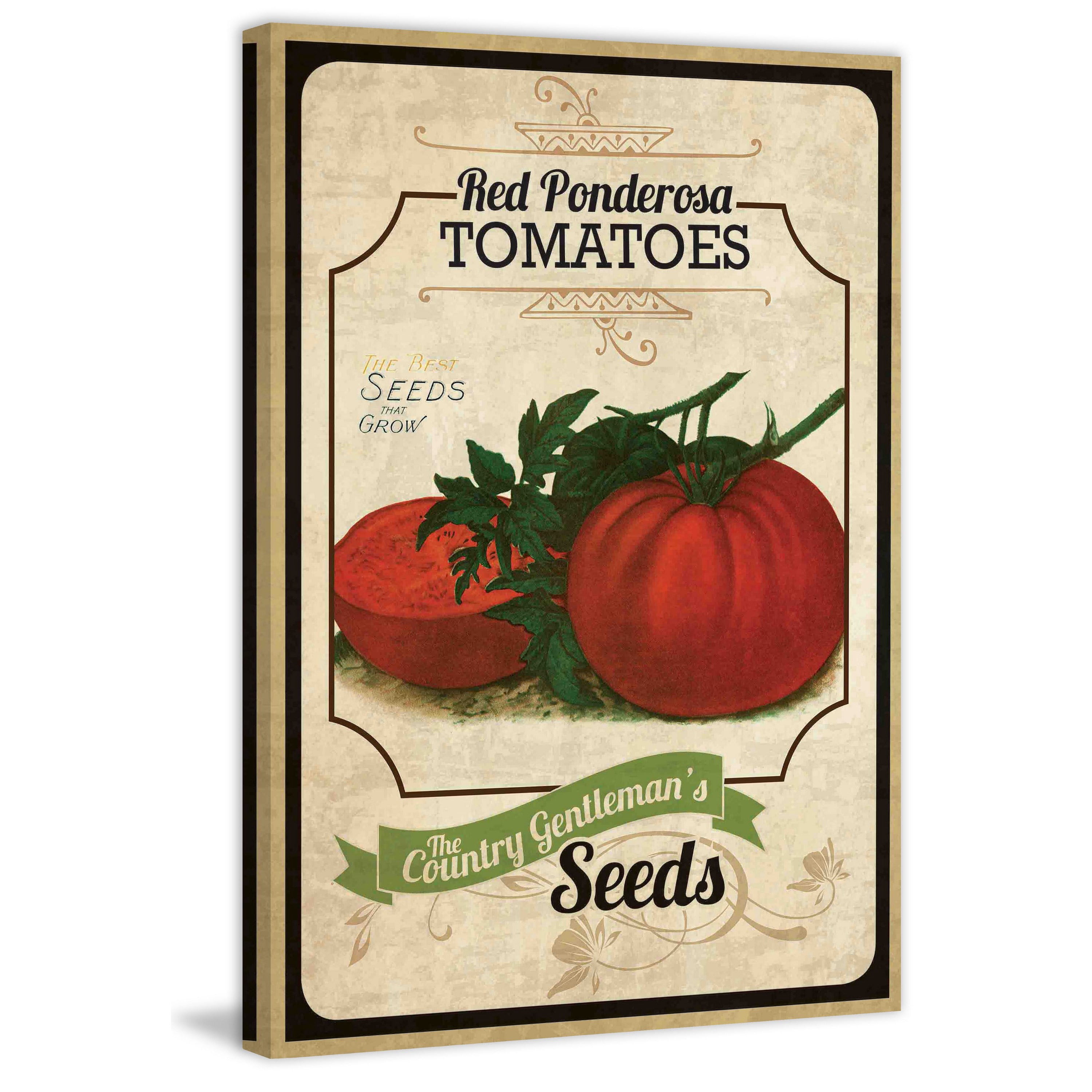Marmont Hill "Seed Packet Tomato" Painting Print on Canvas