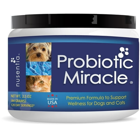 Best Natural Probiotic for Dogs Digestive Dog Probiotic Powder for Diarrhea and Gas Itching and Scratching - Probiotic Digestive Health for Dogs by Pure Nature (Best Price Gps Systems)