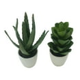 thumbnail image 2 of Potted Faux Aloe And Faux Jasmine Plants, Set of Two-Color:Green,Style:Botanical, 2 of 2