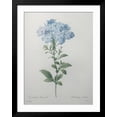 thumbnail image 2 of Art.com Blue Plumbago or Leadwart Art Print by Pierre-Joseph Redoute, Black Frame Wall Art, 32" x 40", 2 of 5