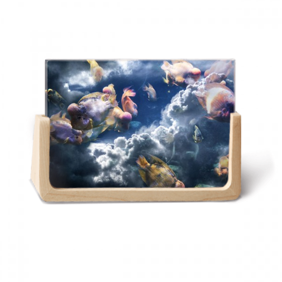 Ocean Colorful Fish Science Nature Picture Photo Wooden Photo Frame Tabletop Display