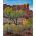 thumbnail image 2 of Fitzharris, Tim 15x17 Black Ornate Wood Framed with Double Matting Museum Art Print Titled - Porcupine Canyon on Colorado River near Castle Valley-Utah, 2 of 4