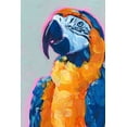 thumbnail image 2 of Parker, Jennifer Paxton 11x14 White Modern Wood Framed Museum Art Print Titled - Pop Art Parrot I, 2 of 4