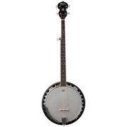 Washburn B9 Americana Series (5 String) Banjo. Sunburst