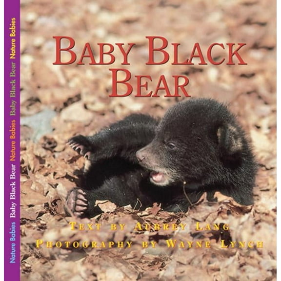 Nature Babies Baby Black Bear, (Paperback)