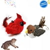 Red + Brown Sparrow