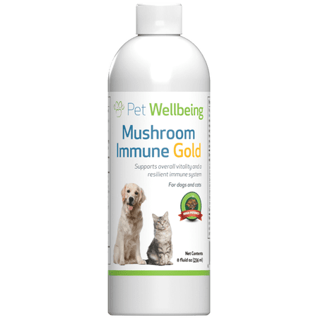 Pet Wellbeing - Mushroom Immune Gold for Canine Cancer Support 8oz