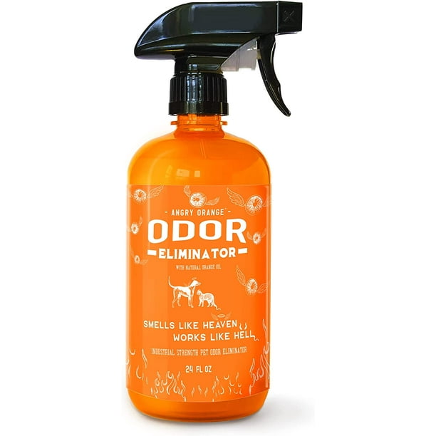 Angry orange cat urine Outlet