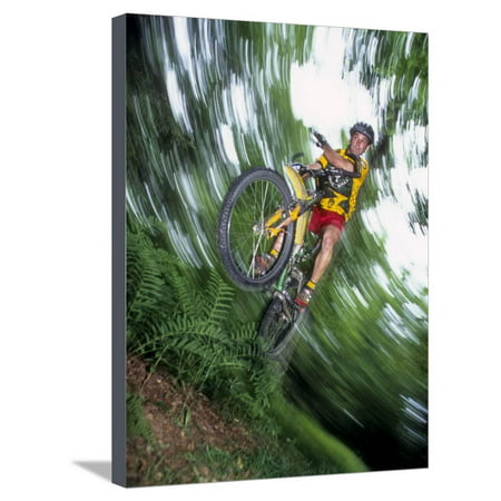 Recreational Mountain Biker Riding on the Trails Stretched Canvas Print Wall (Best Recreational Mountain Bike)