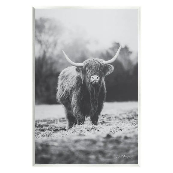 Stupell Grazing Cattle Farmhouse Photography Animals & Insects Photography Wall Plaque Unframed Art Print Wall Art