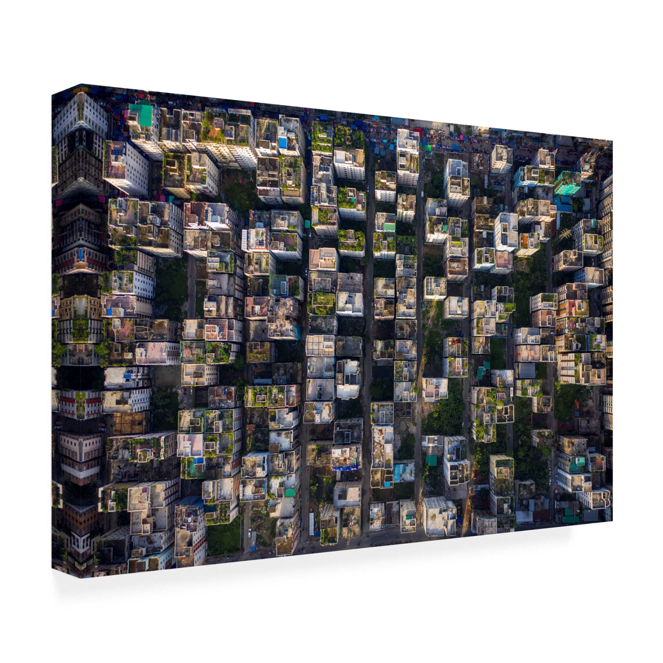 Trademark Fine Art Azim Khan Ronnie Rooftop Canvas Wall Art