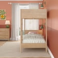 thumbnail image 6 of Harbor Twin/Twin  Bunk, Blonde, 6 of 9