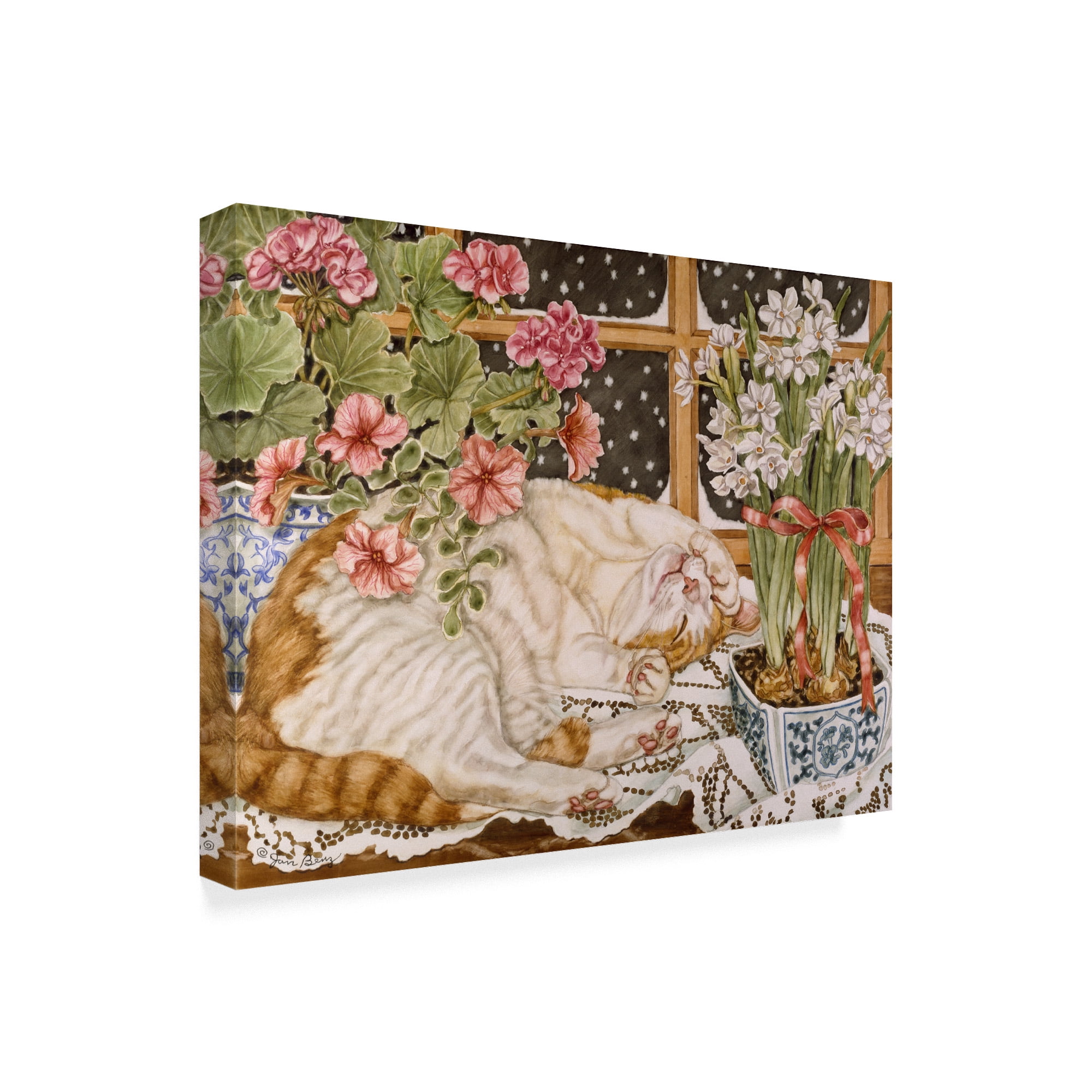 Trademark Fine Art 'Long Winters Nap' Canvas Art by Jan Benz