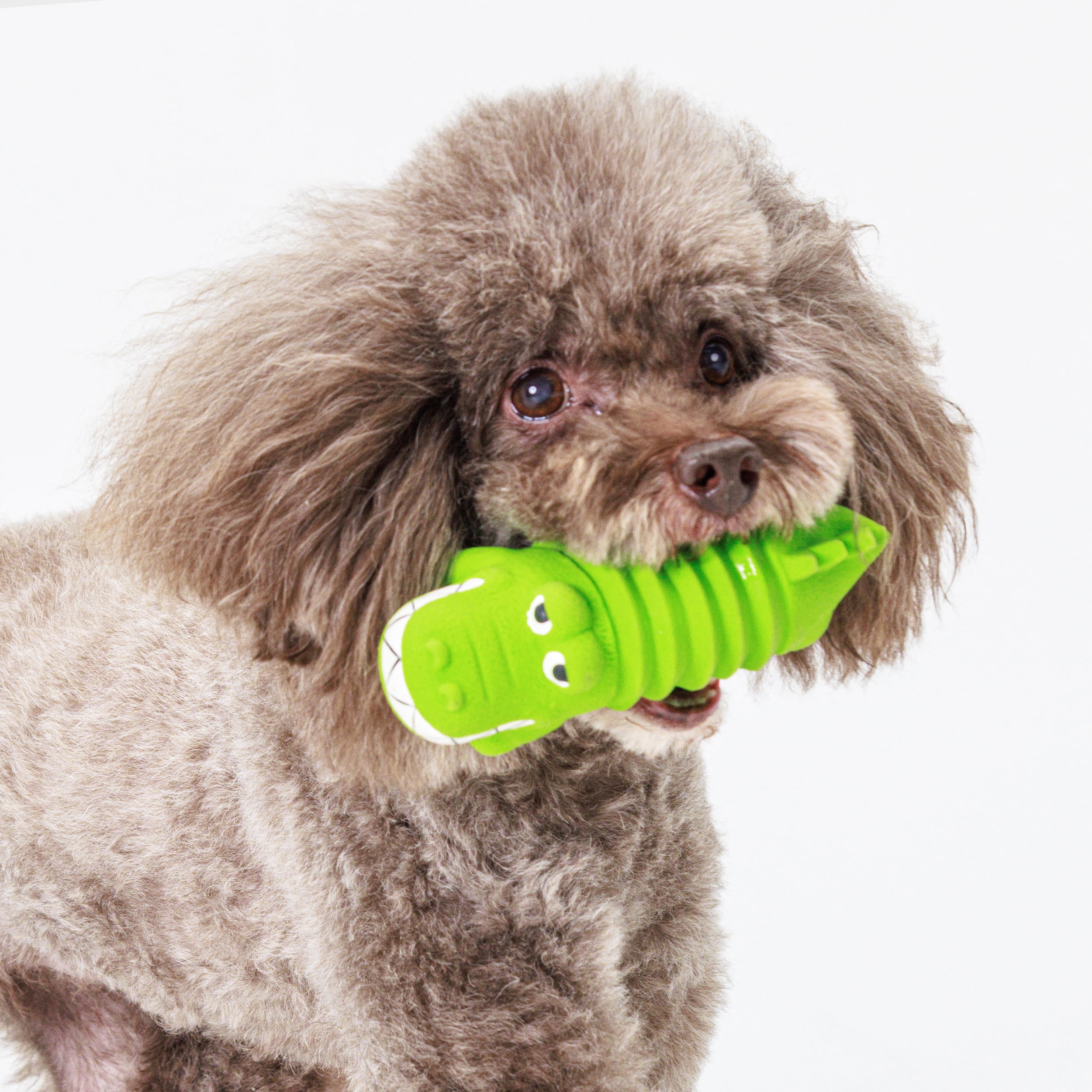 (3 pack) Vibrant Life Play Buddy Gator Latex Chew Dog Toys, Green