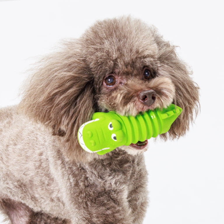 Vibrant Life Play Buddy Gator Latex Dog Toy, Squeaky, Light-Moderate Chew  Level 2, Green - Walmart.com