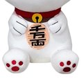 thumbnail image 4 of Juguete Dandadan Anime Peluche Del Gato La Suerte 25CM Regalo Navidad () Blanco, 4 of 9