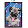 thumbnail image 3 of Keith Kimberlin - Kittens - Pug - Selfie Wall Poster, 14.725" x 22.375", Framed, 3 of 5
