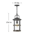 thumbnail image 2 of 1 Light Medium Outdoor Hanging Lantern in Coastal Style 9 inches Wide By 17.75 inches High-Black Finish-Led Lamping Type-E26 Medium Vintage Lamp Base, 2 of 3