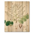 thumbnail image 3 of Designart 'Ancient Botanicals XVI' Farmhouse Print on Natural Pine Wood, 3 of 5