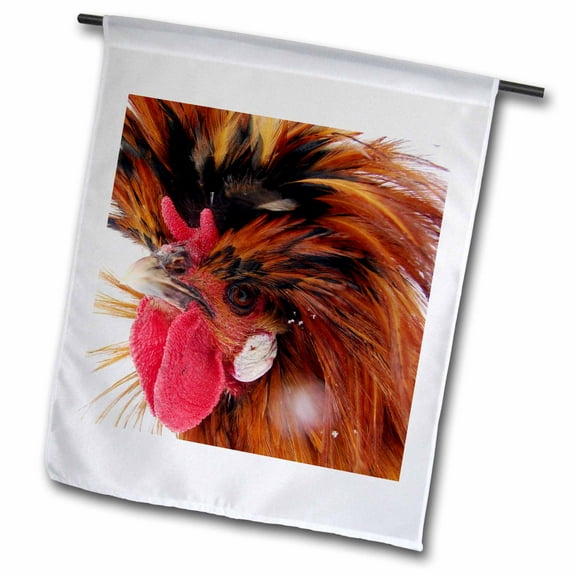 3dRose, Polish Rooster, 12 x 18 inch Garden Flag