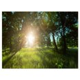 thumbnail image 2 of Sunny Day in Green Forest Meadow - Oversized Landscape Canvas Art, 2 of 3