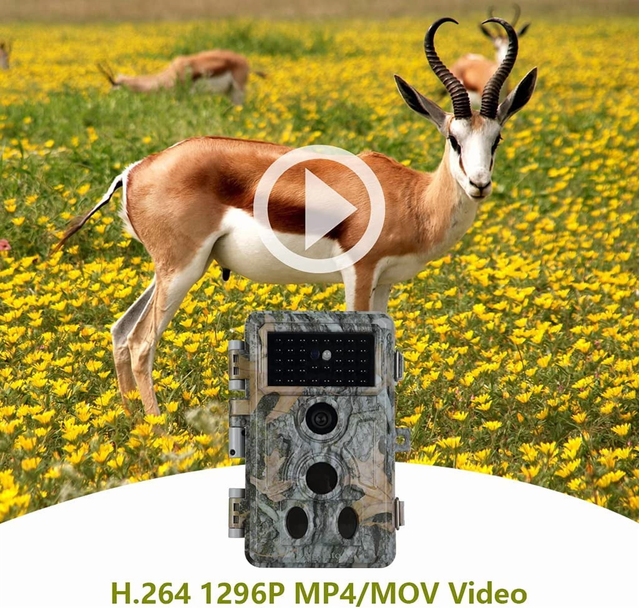 2-Pack 64MP Trail Cameras with 1296P HD Video, Night Vision No Glow, 0.1S Motion Activation, IP66 Waterproof - Ideal for Outdoor Wildlife Hunting & Home Security Surveillance-Gray