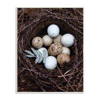 Stupell Industries Close Up Bird Eggs Nest Wildlife Nature Photography Photograph Unframed Art Print Wall Art, Design by Tania Soderman