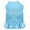 Baby Blue, variant on Pet Dog Cat Dress Rhinestone, "Silver Fleur De Lis"