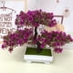 Luckyn A Simulation Lotus Pine Flower Bonsai Set Petites Plantes Vertes en Pot – image 2 sur 5