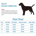 thumbnail image 4 of Albornoz para perros suave, superabsorbente, lujoso, toalla de secado para perros de microfibra con capucha/cinturón para perros grandes, medianos y pequeños, 4 of 4