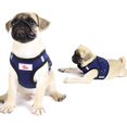 thumbnail image 3 of LAICAIW Dog Harness and Leash Set, No Pull Reflective Adjustable Pet Soft Mesh Chest Vest Harnesses Easy Control for Small Medium Dogs and Cats Outdoor Walking, 3 of 7