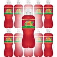 thumbnail image 4 of Tahitian Treat Fruit Punch Soda 20oz Bottles, Quantity of 16, 4 of 9