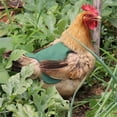 thumbnail image 6 of SLYNSHome Chicken Saddles for Hens,Chicken Apron Back Protector for Hens with Adjustable Strap Chicken Hen Mating Saddle - Green, 6 of 7