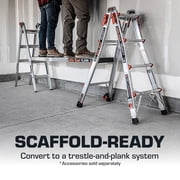 Little Giant Velocity, Aluminum Ladder, 18 ft Reach, 15422-001