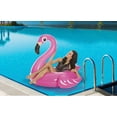 thumbnail image 1 of Giant Flamingo Pool Float, 1 of 6