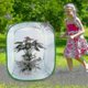 thumbnail image 5 of Tall Large Butterfly Habitat Cage Collapsible Terrarium Pop-up Lnches , Insect And Butterfly Net For Raising Inserts, 5 of 5