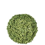 Sullivans Artificial Allium Orb 4"H Green