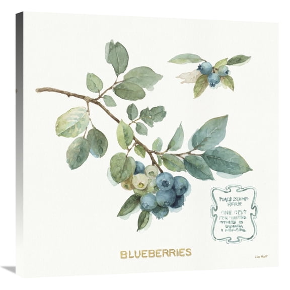 Global Gallery's 'My Greenhouse Fruit II' By Lisa Audit Stretched Canvas Wall Art