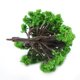 thumbnail image 5 of 3PCS Miniature Tree Ornament Succulent Micro Landscape Plants Decoration DIY Craft, 5 of 5
