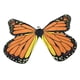 thumbnail image 3 of Disfraz de bufanda con mariposa para mujer Hugo Adulto Disfraz de ala para danza del vientre, 3 of 10