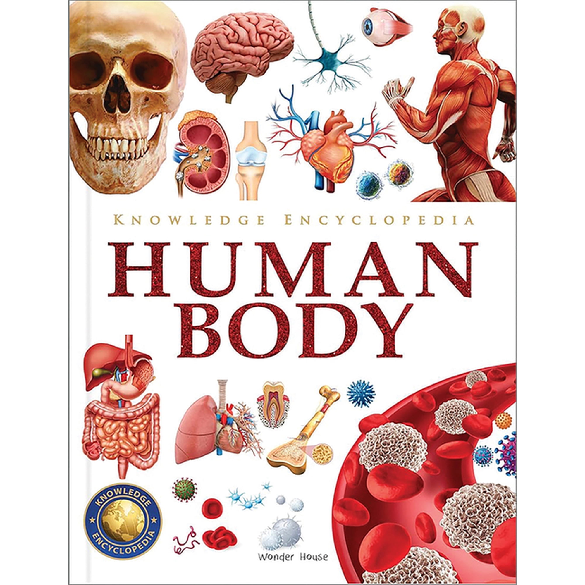 Knowledge Encyclopedia Human Body, (Hardcover)